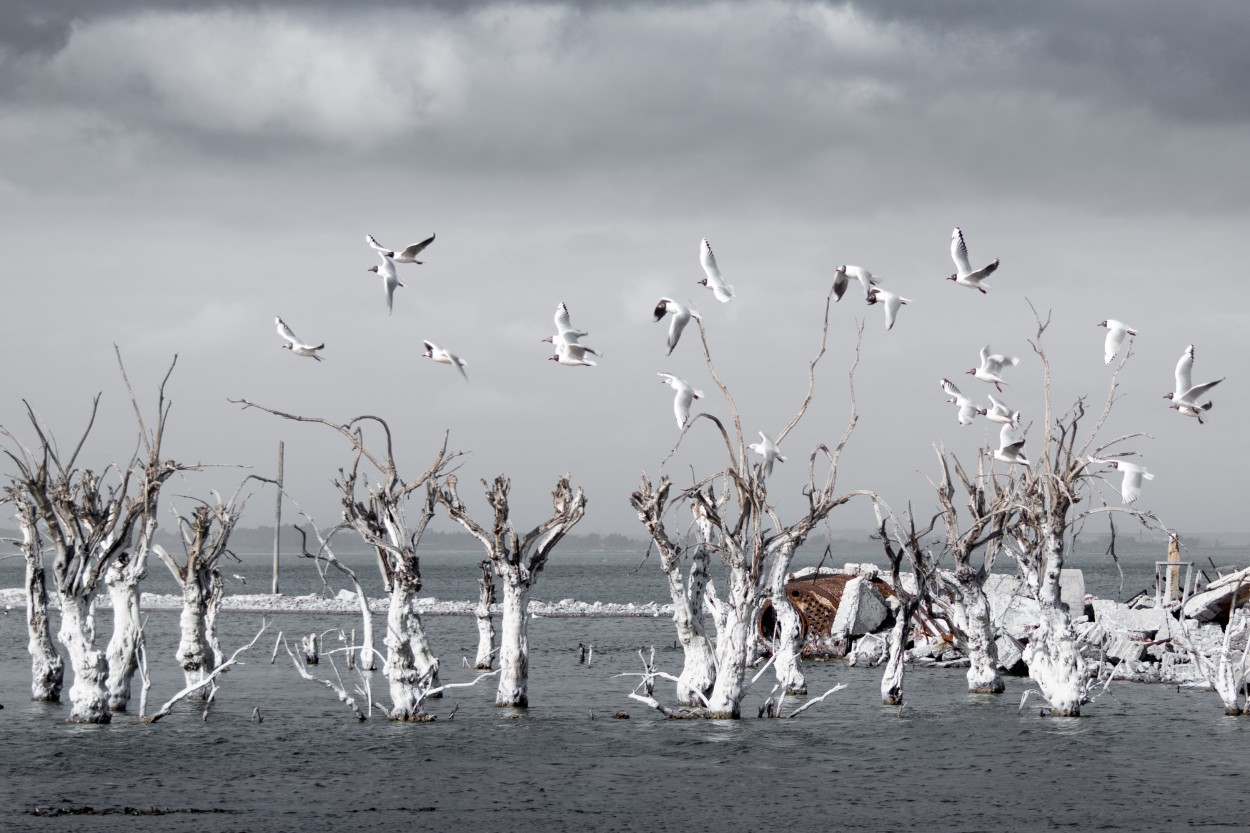 "Epecuen" de Mariana Luna