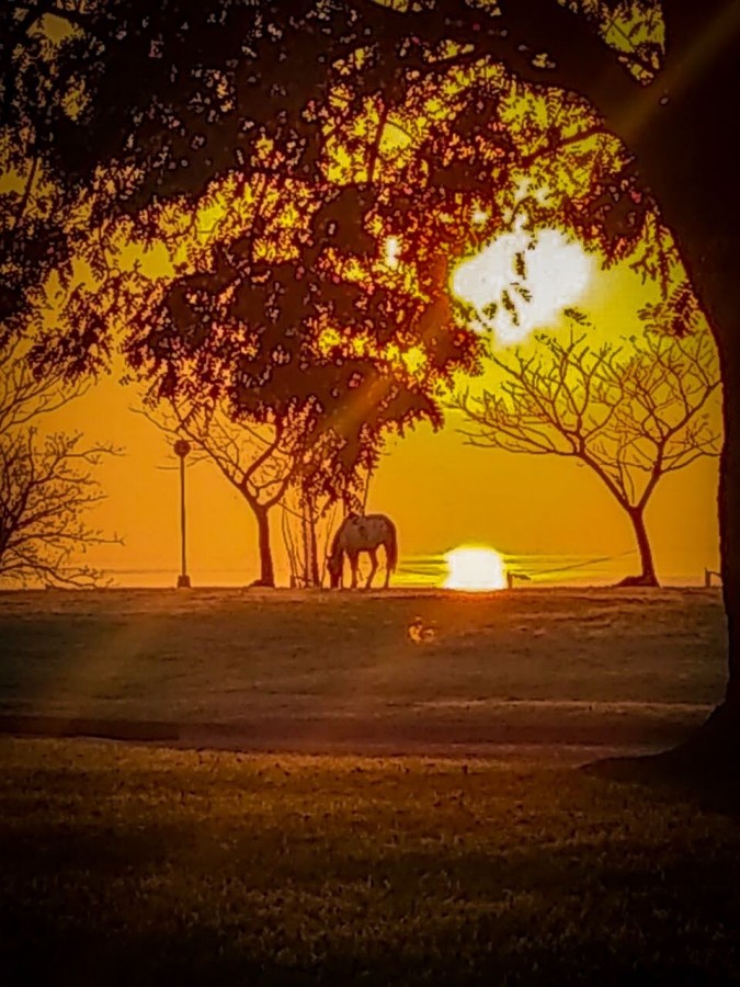 "Amanecer" de Maria Laura Poklepovich