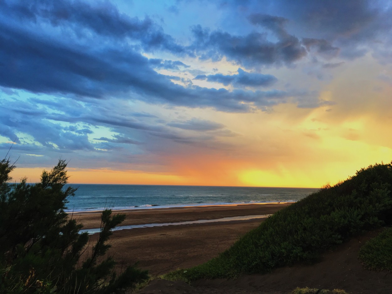 "Necochea" de Celeste Berutti