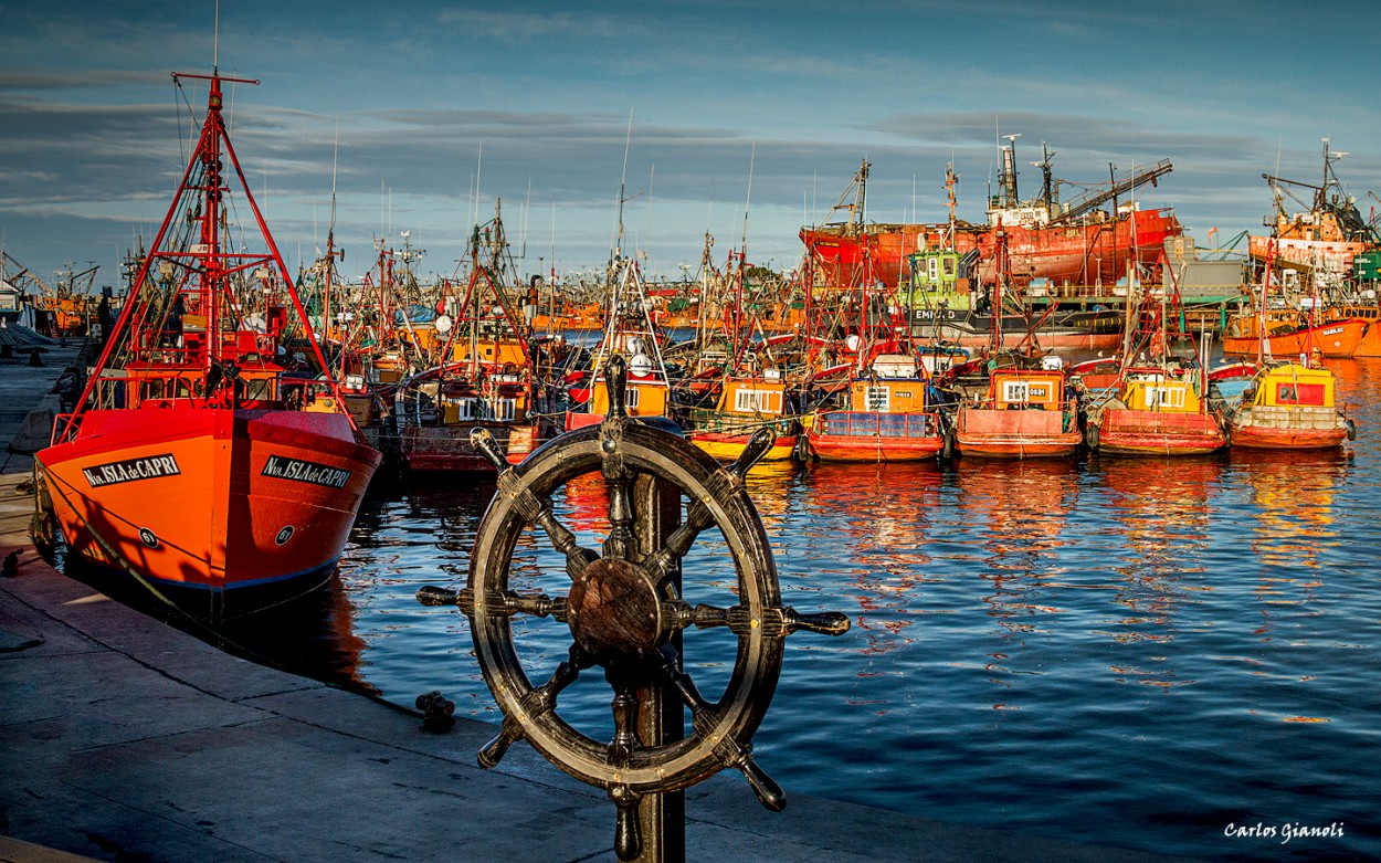 "El Puerto de Pescadores" de Carlos Gianoli