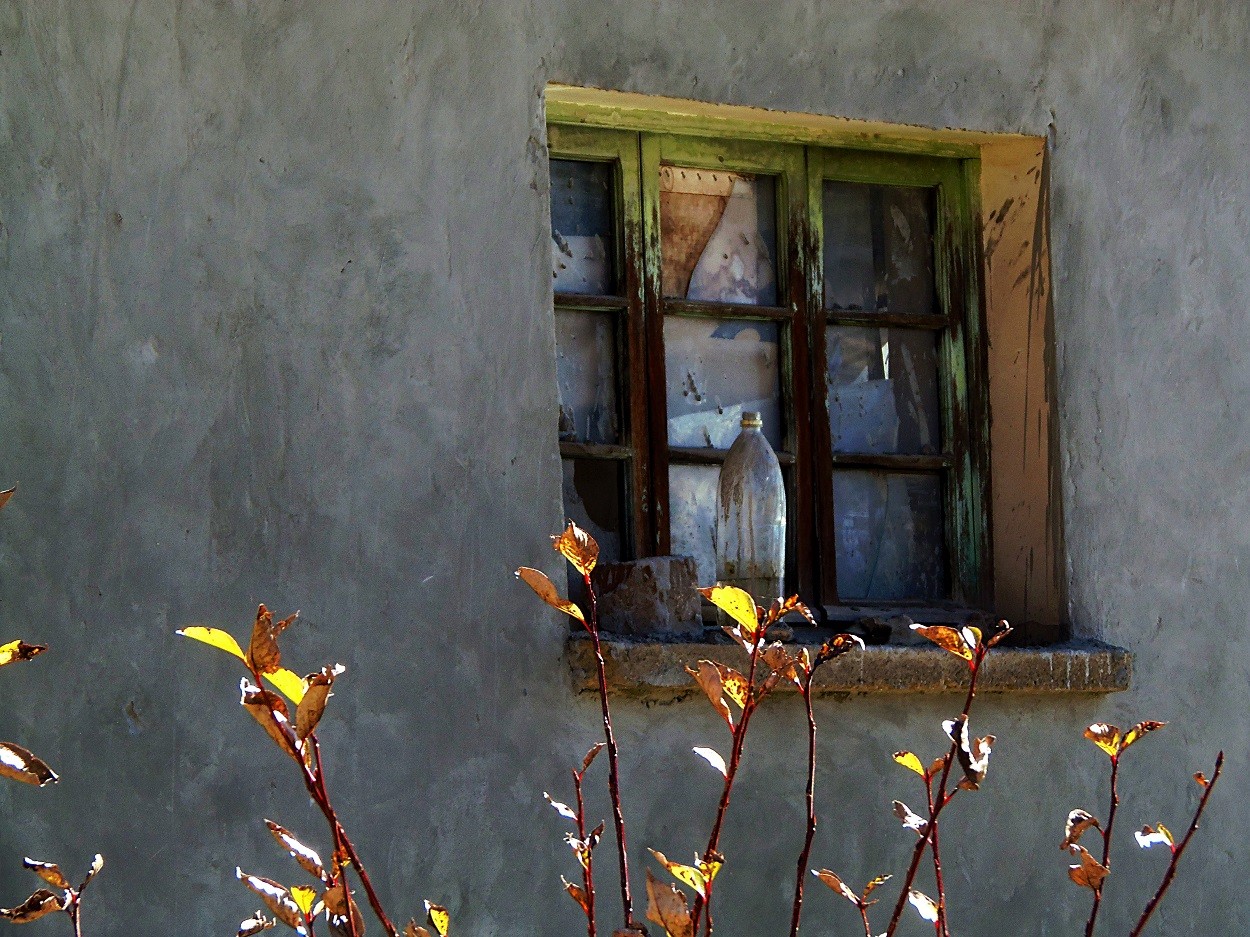 "La ventana" de Marcos Pedro Escudero