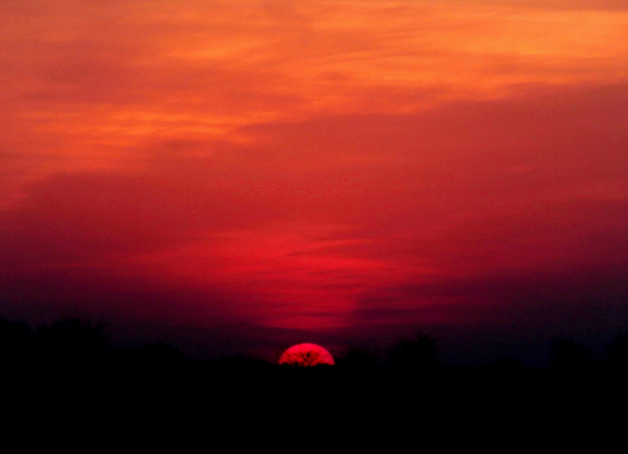 "Rojo atardecer" de Silvia Olliari