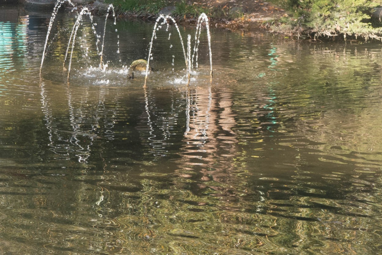 "Agua saltarina" de Ana Tessler