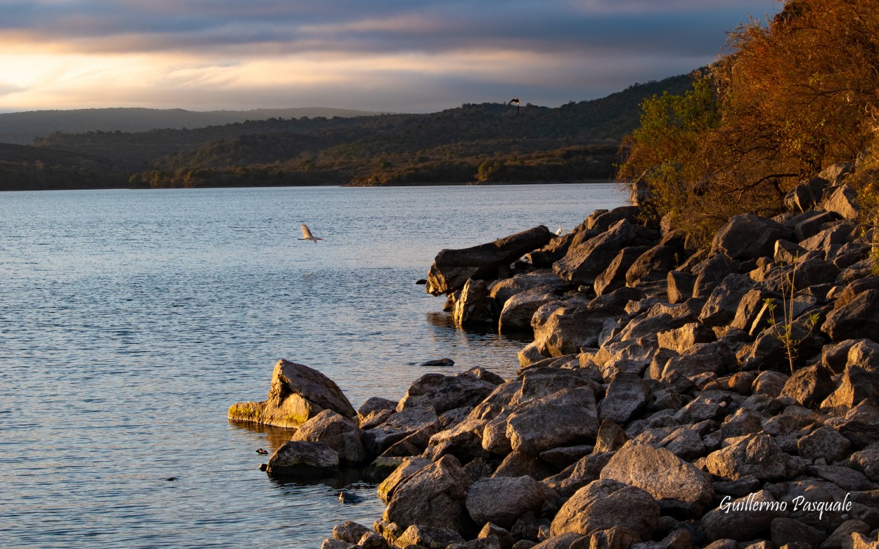 "Embalse" de Guillermo Daniel Pasquale