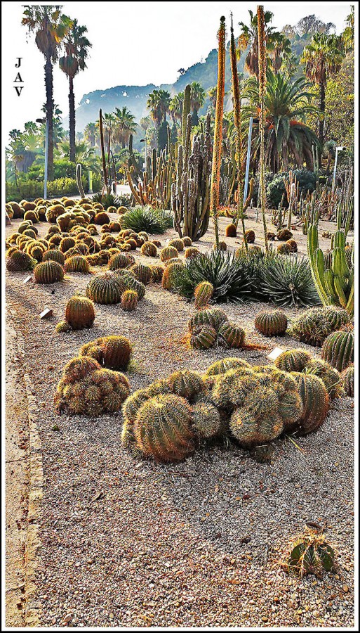 "Jardins del Mossn Costa i LLobera. 68" de Joan A. Valentin Ruiz