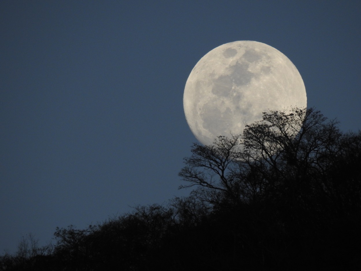 "Luna enamorada" de Eduardo Torramorell