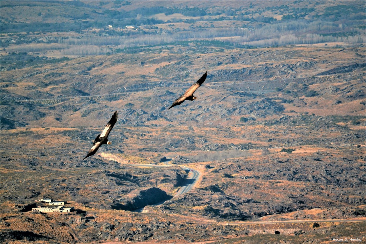 "Desde las alturas" de Hector Mendez