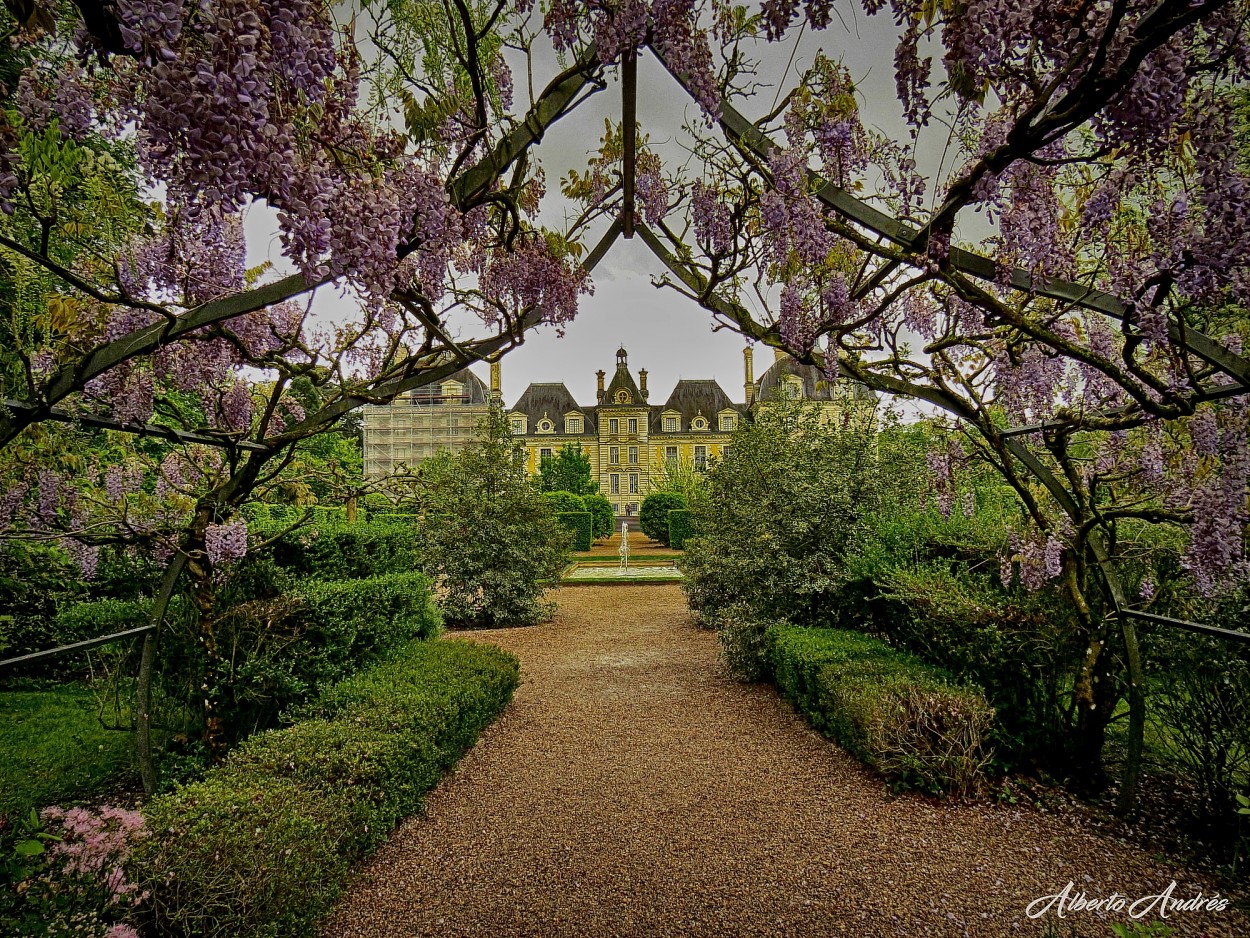 "Los jardines del Palacio" de Alberto Andrs Melo