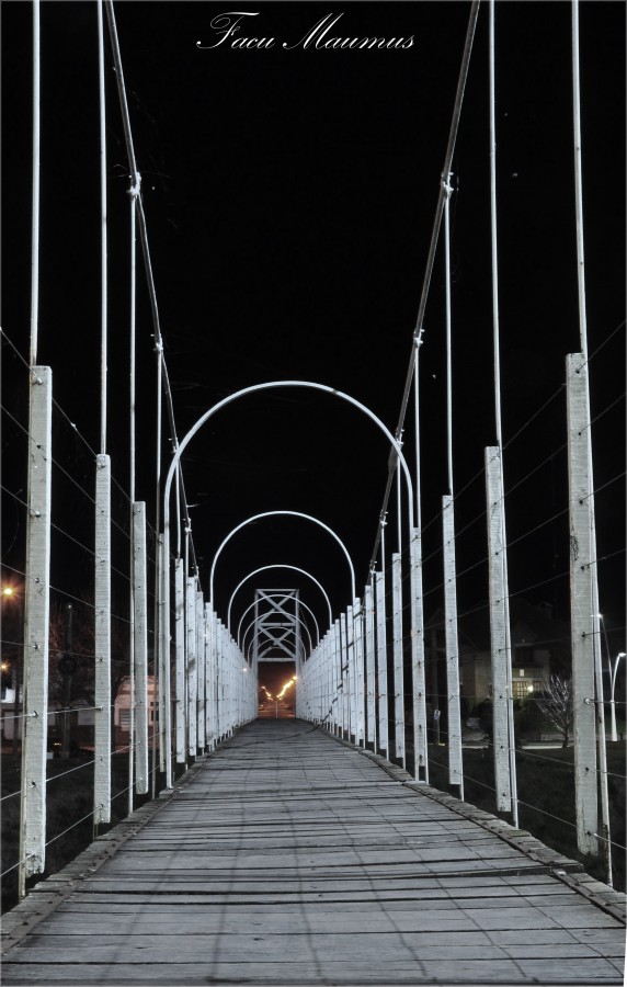 "puente colgante" de Facundo Maumus Bonanno