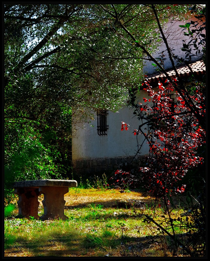 "Jardin de primavera" de Jorge Vicente Molinari