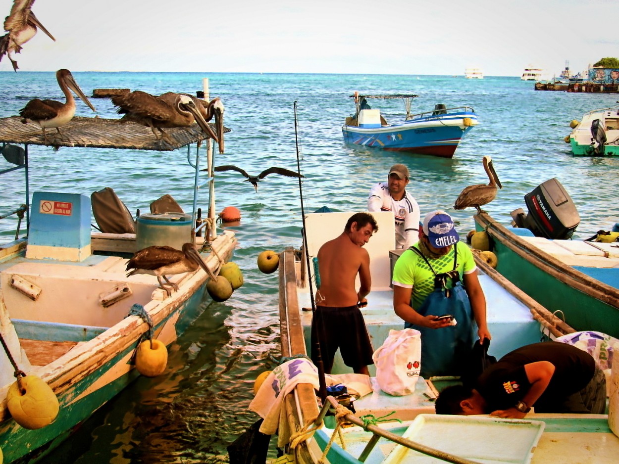 "Pescadores" de Laura Nardo