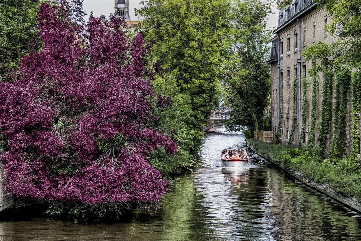 "Canales de Brujas/Blgica" de Cristina Msoler