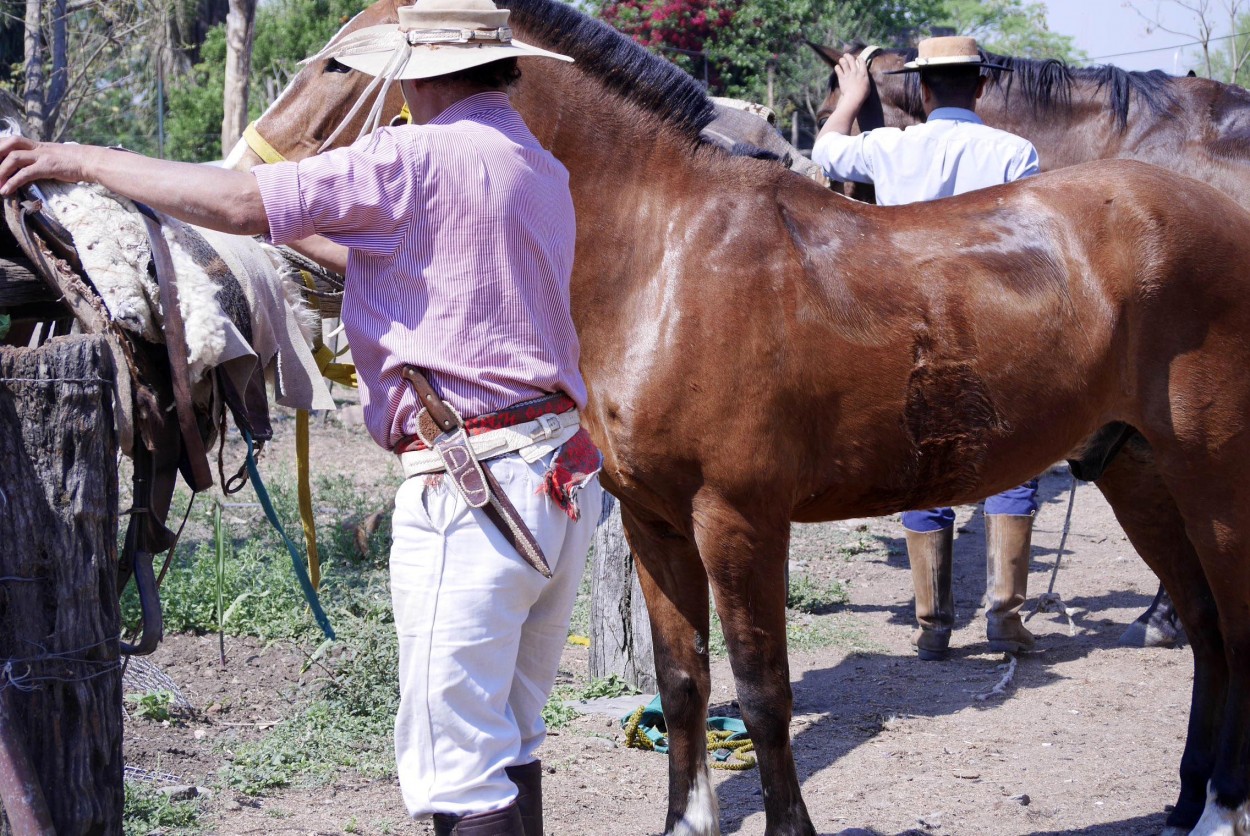 "Gauchos" de Flix Edmundo Reyes