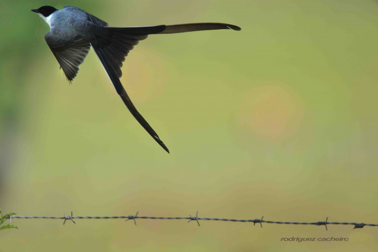 "Cortando el aire" de Hctor Rodrguez Cacheiro