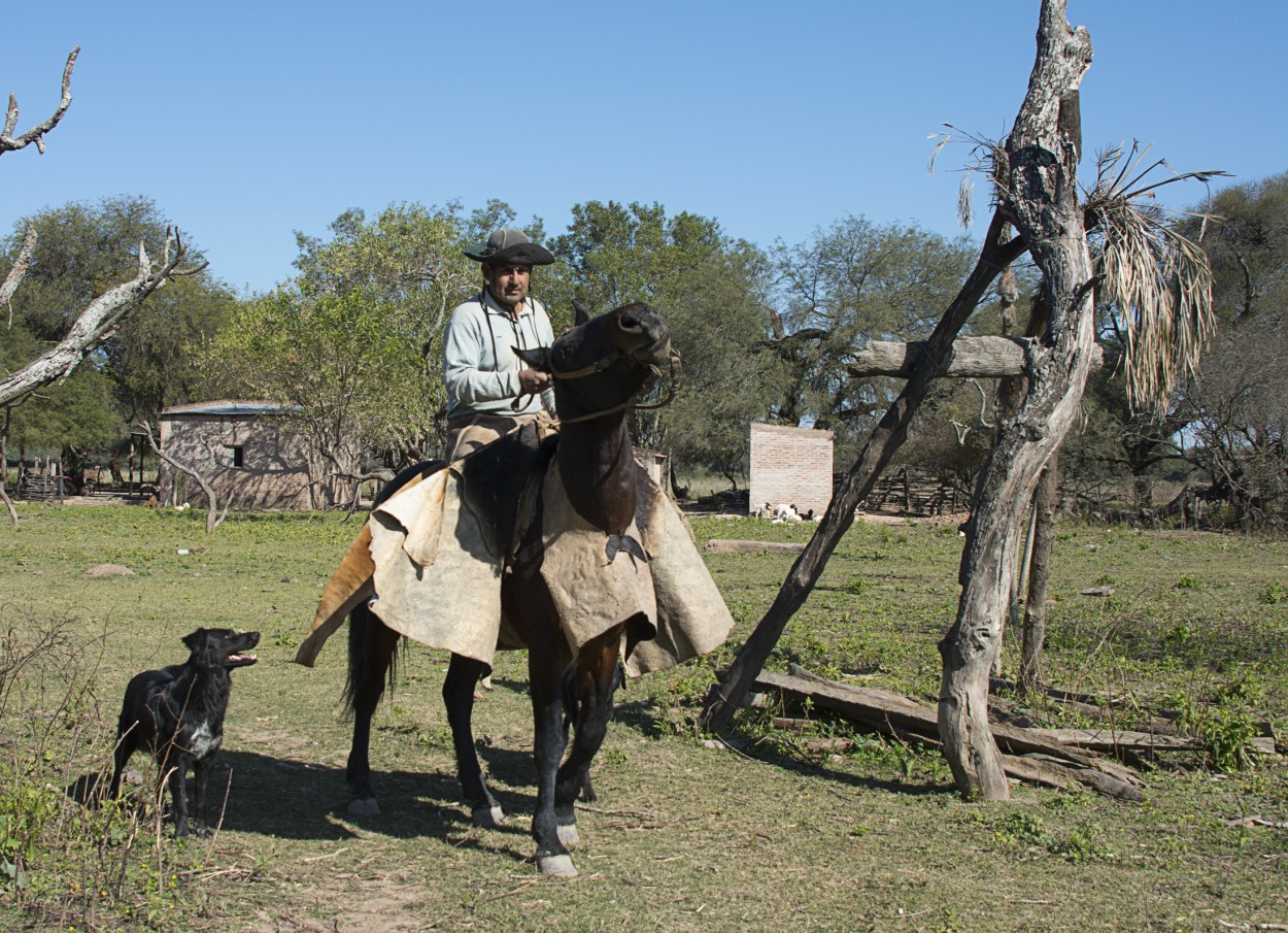 "Criollo del Chaco" de Raquel Perazo