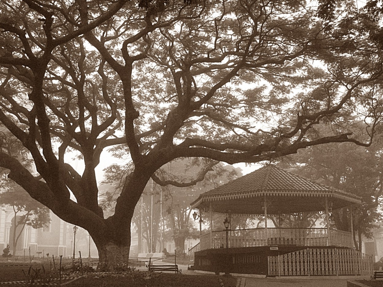 "Manh de neblina em nossa praa principal." de Decio Badari