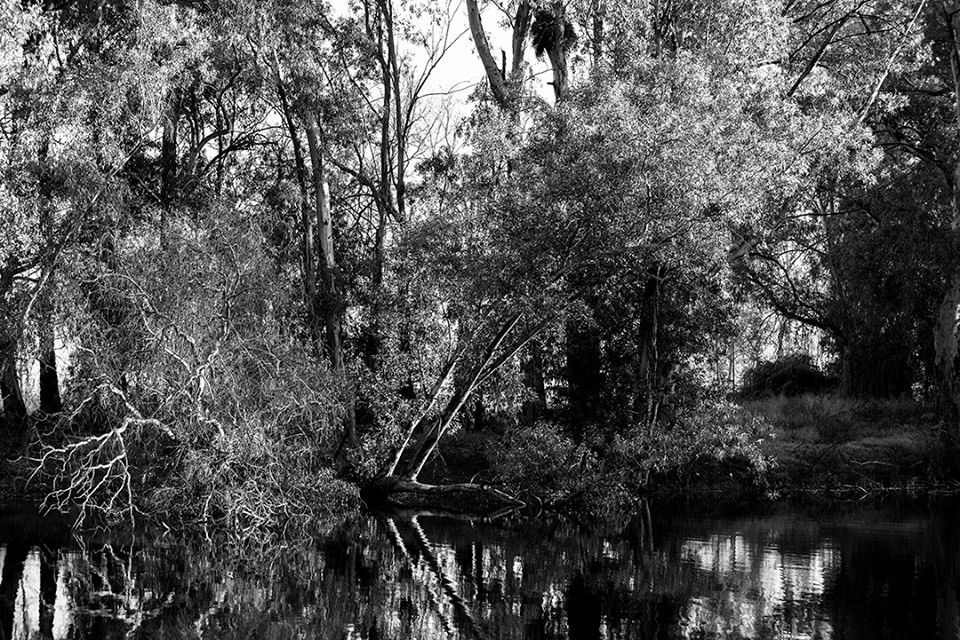 "Costa del Limay" de Williams Daniel Nuez