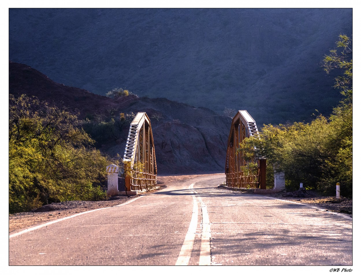 "El puente" de Walter Bourgeois