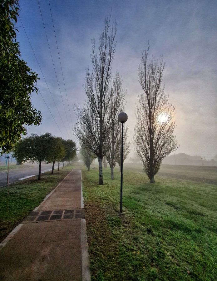 "Hmedo amanecer" de Fernando Valdez Vazquez