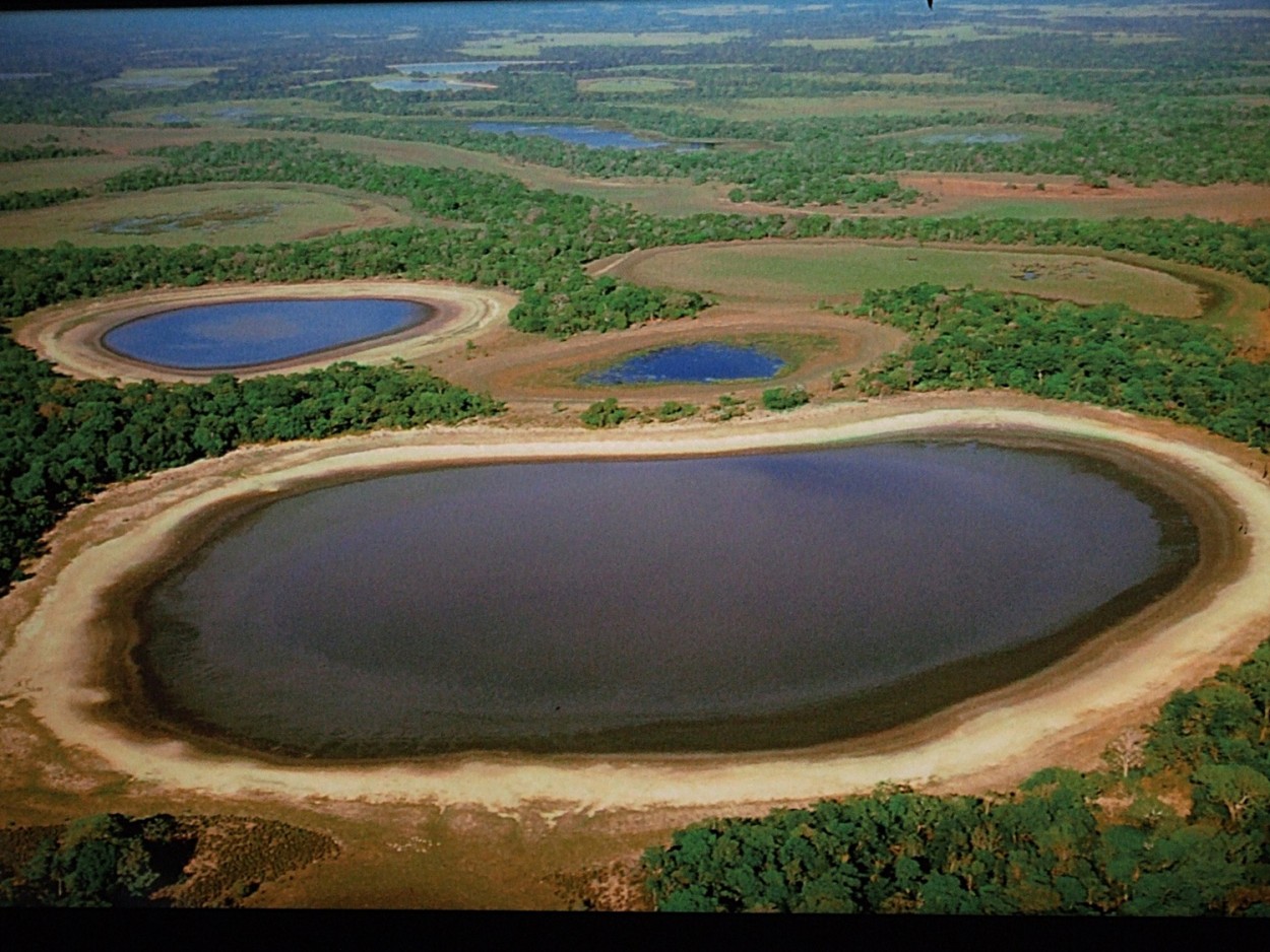 "A imensido do Pantanal em Mato Grosso do Sul" de Decio Badari