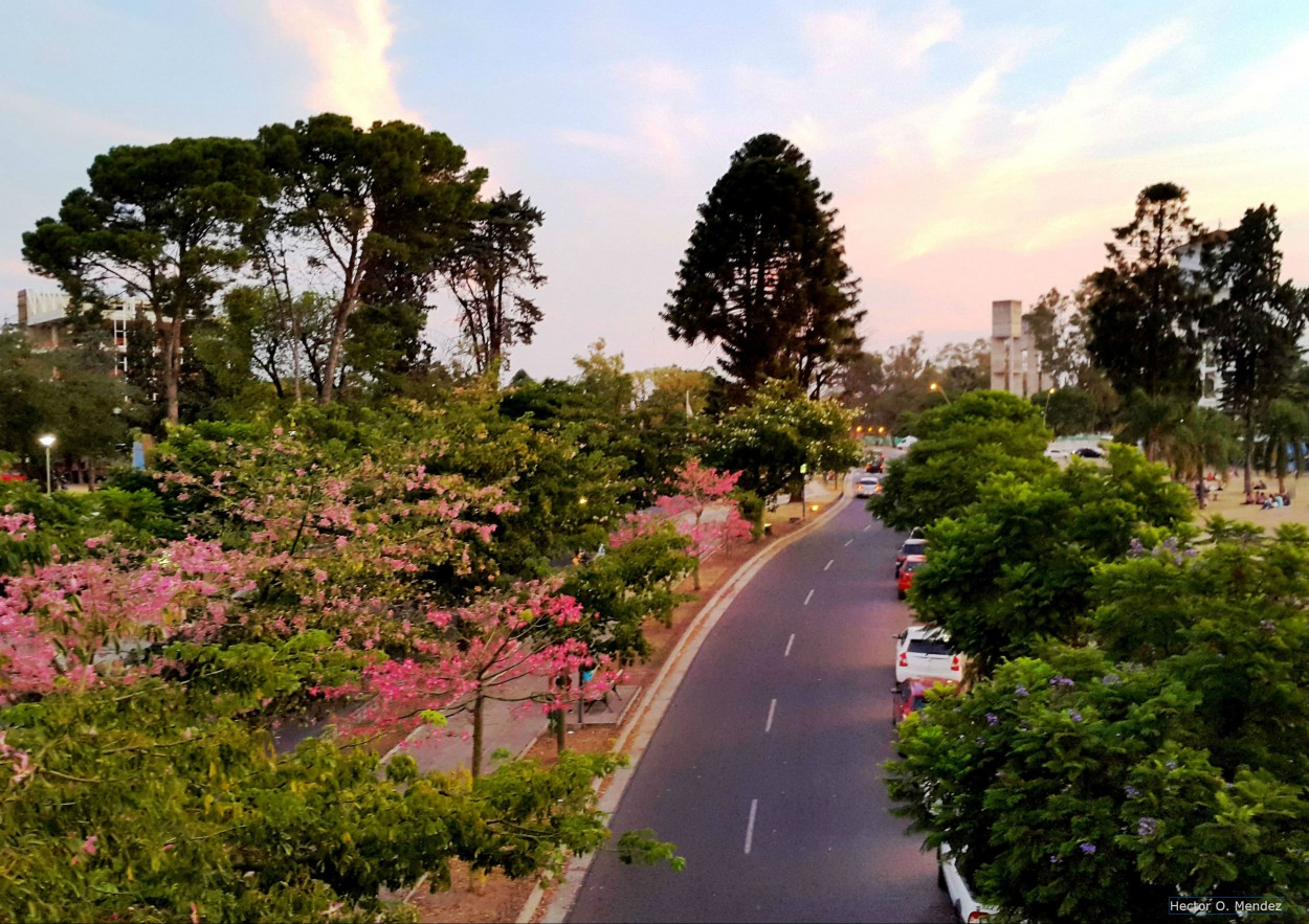 "Paseo urbano" de Hector Mendez