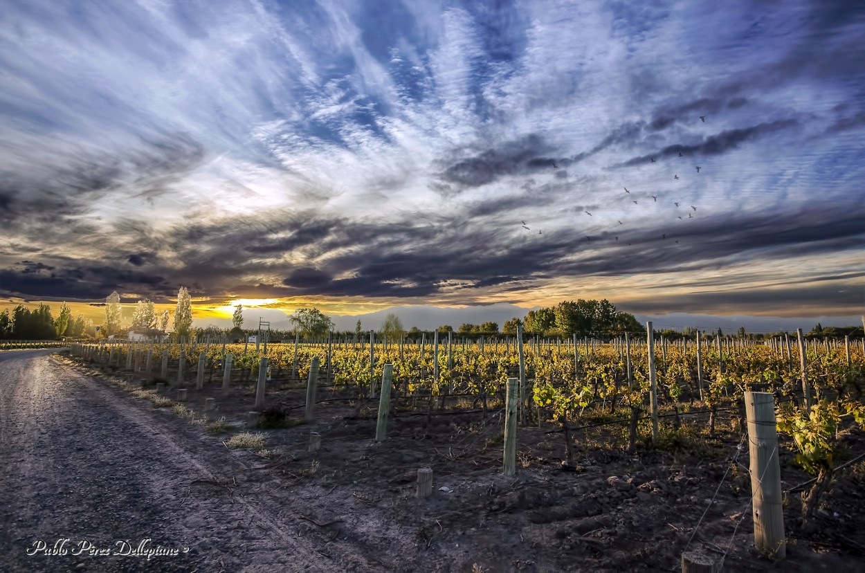 "Atardecer mencuco" de Pablo Perez Dellepiane