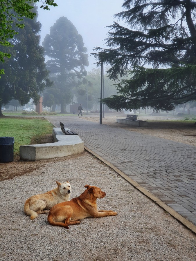 "En descanso" de Fernando Valdez Vazquez