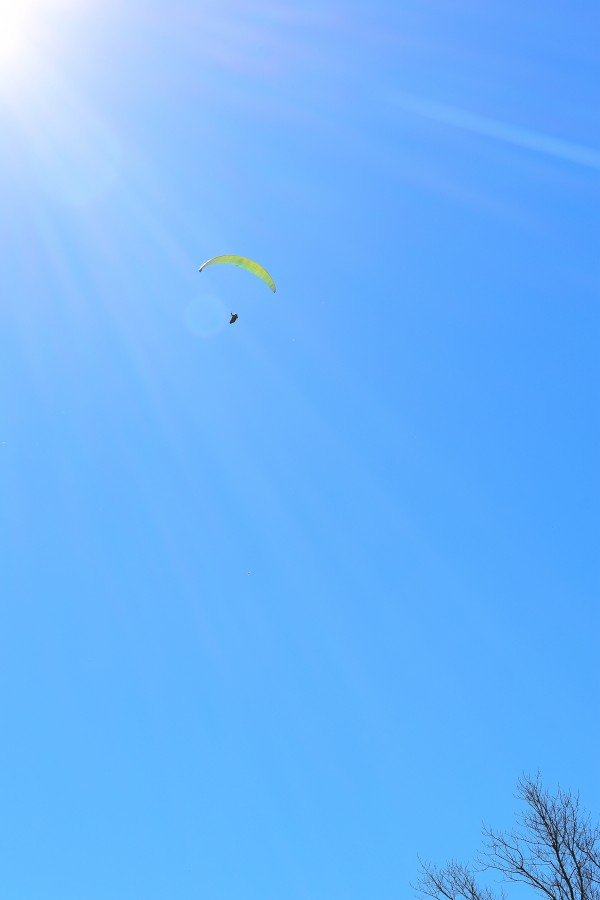 "Vuelo hacia el sol" de Amelia Pascuali de Dios