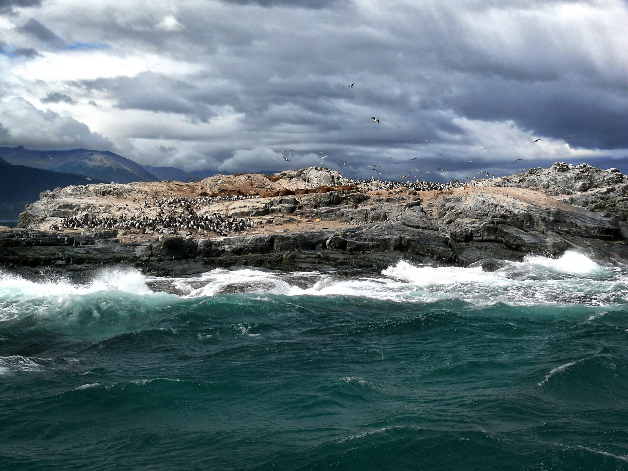 "Isla de los lobos" de Juan Carlos Barilari