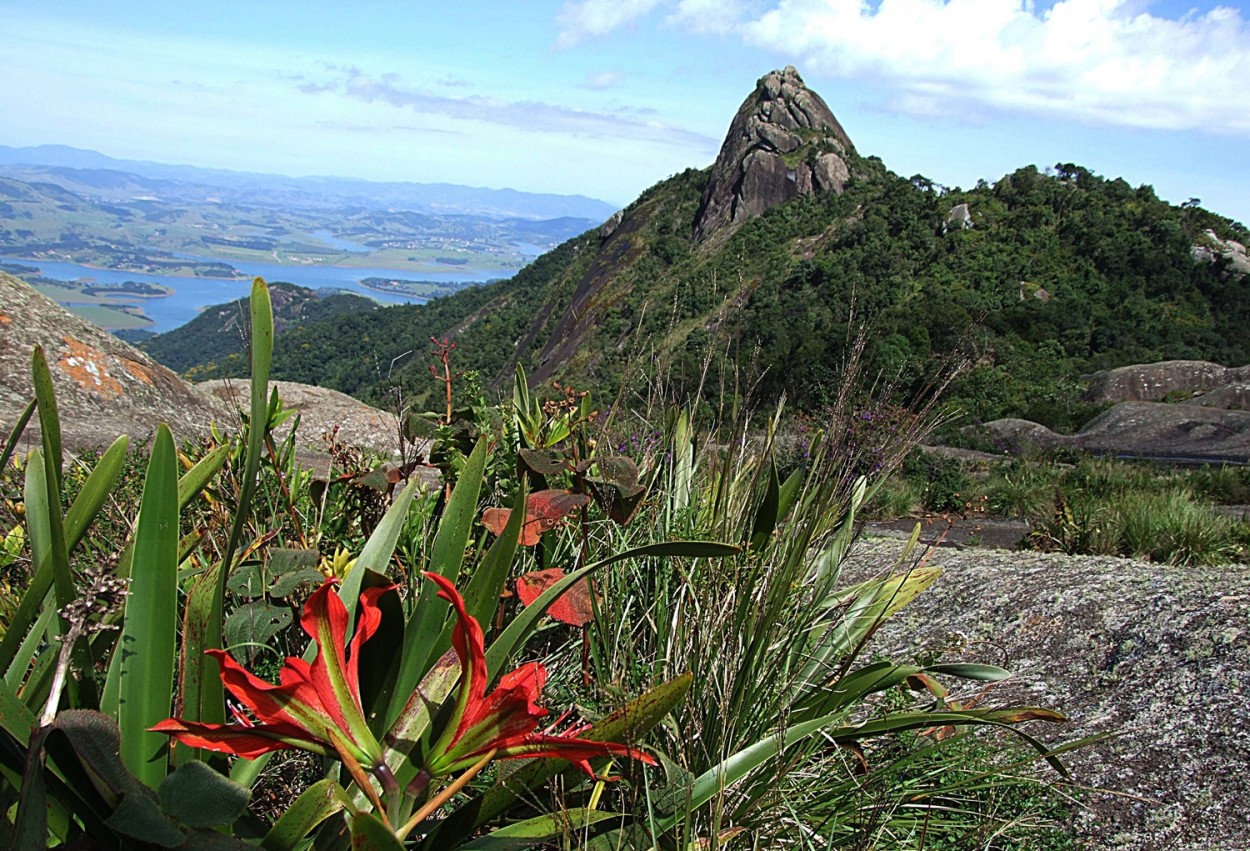 "O perfil do Pico do lopo, na Serra da Mantiqueira" de Decio Badari