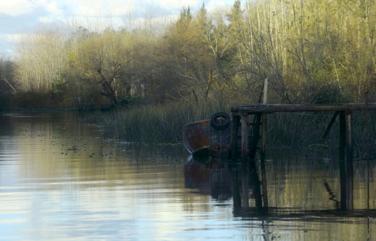 "Tardecita en el delta." de Francisco Luis Azpiroz Costa