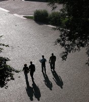 Um olhar tranquilo na agitada capital de So Paulo