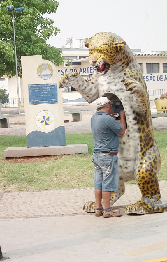 "Um telefone publico bem ` animal `1" de Decio Badari