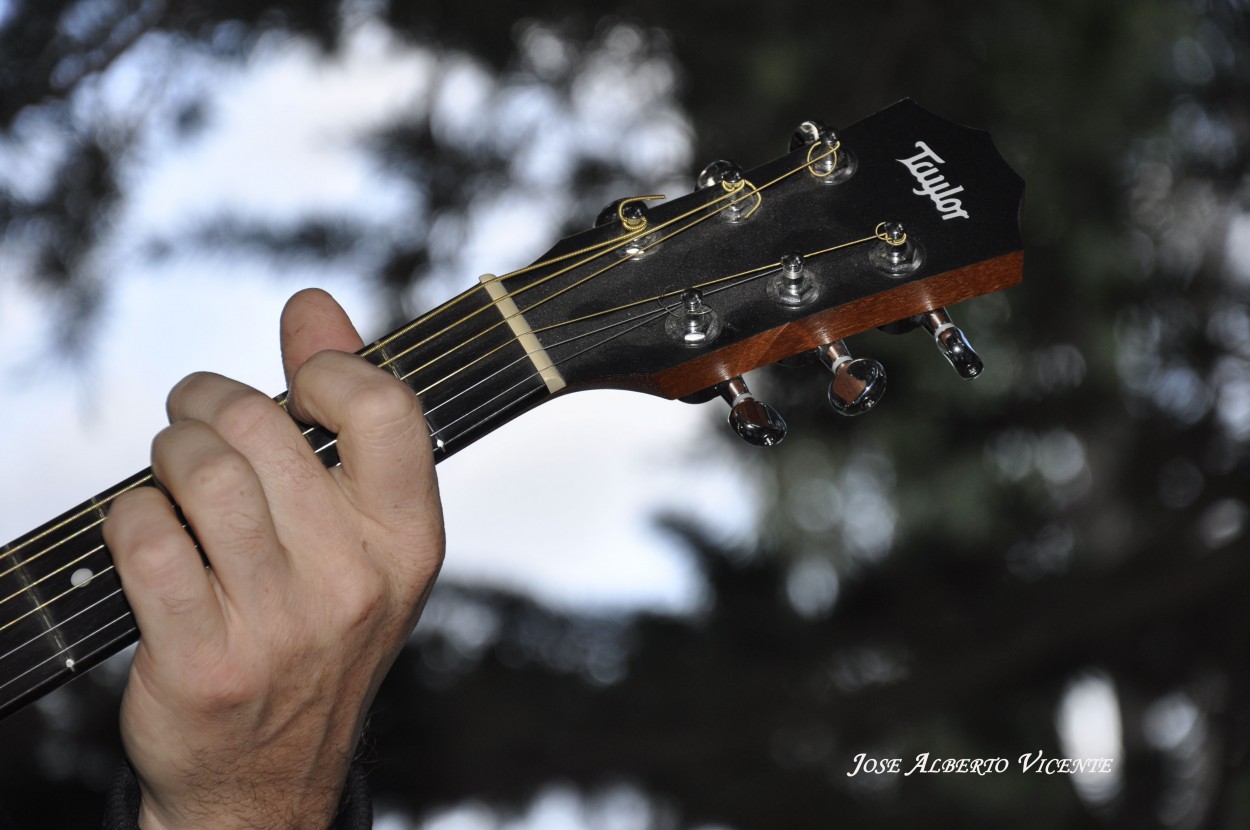 "acordes musicales" de Jose Alberto Vicente