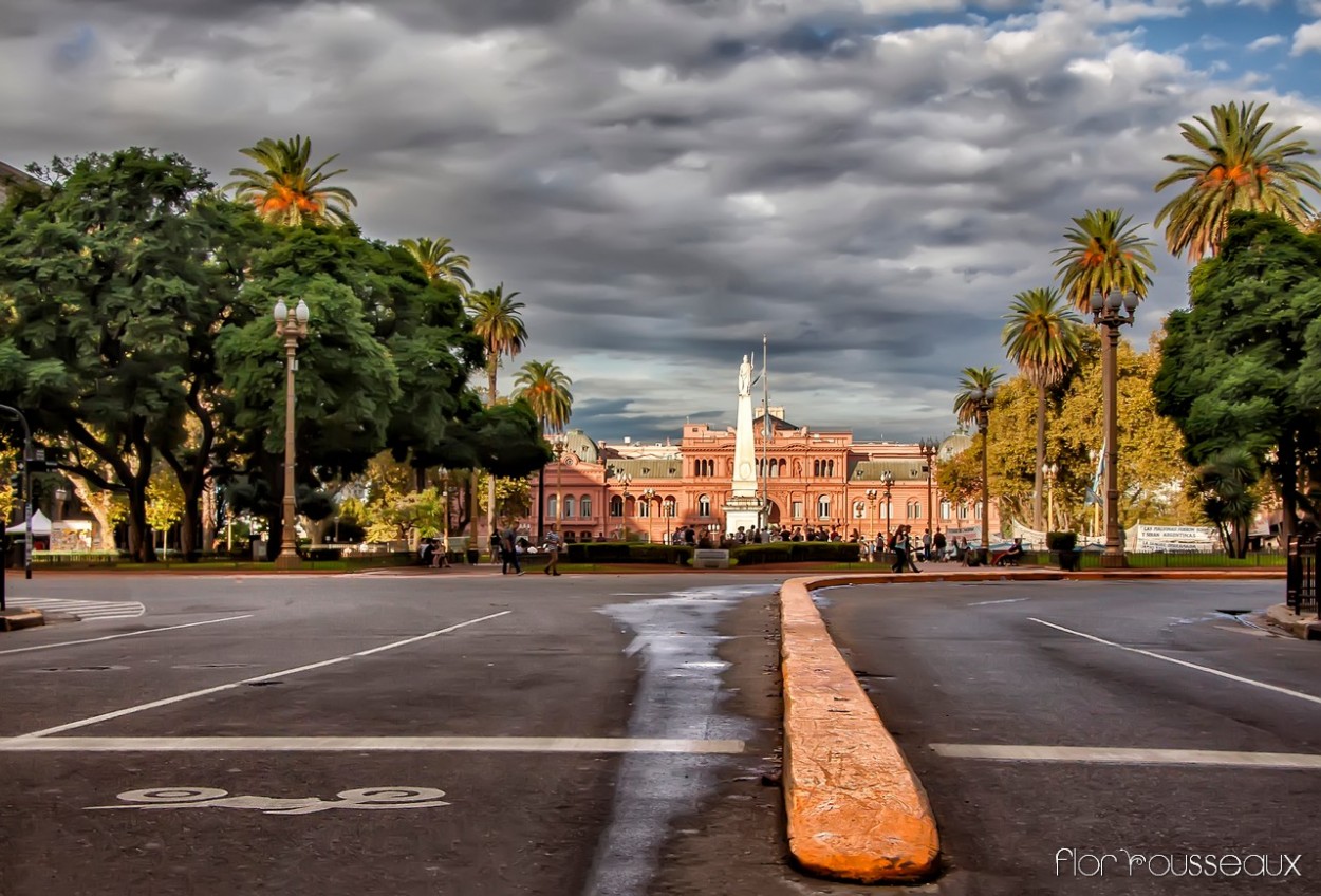 "Camino a la Democracia" de Mara Florencia Rousseaux (flor)