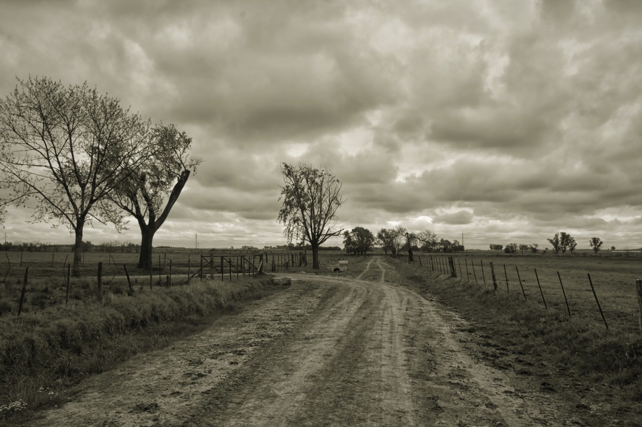 "Soledad campestre..." de Maria Isabel Hempe