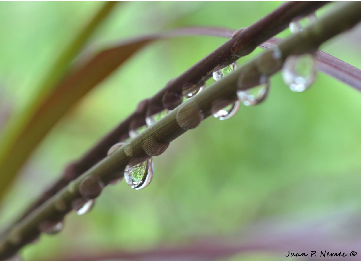 "Diagonal de gotas" de Juan P. Nemec