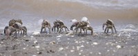 Turistas en la playa