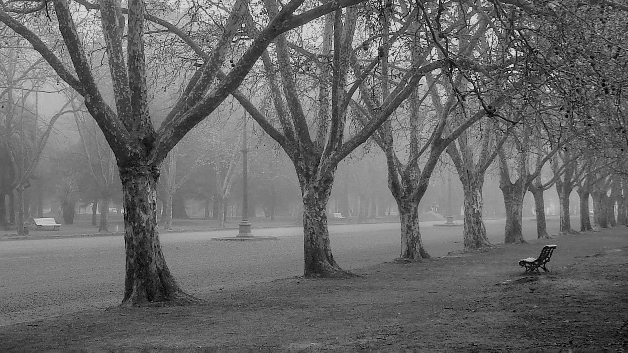 "El Parque" de Eli - Elisabet Ferrari