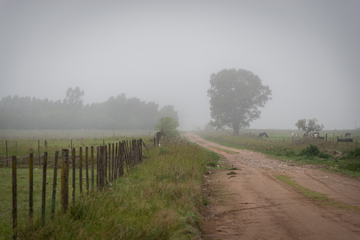 "Caminos rurales" de Fernando Valdez Vazquez