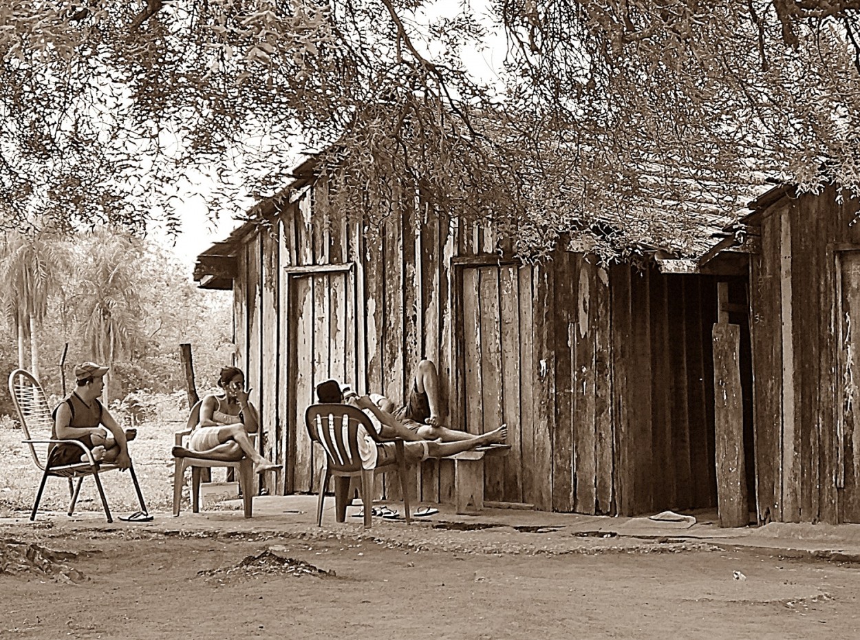 "Bate papo com os amigos no pantanal M.S." de Decio Badari