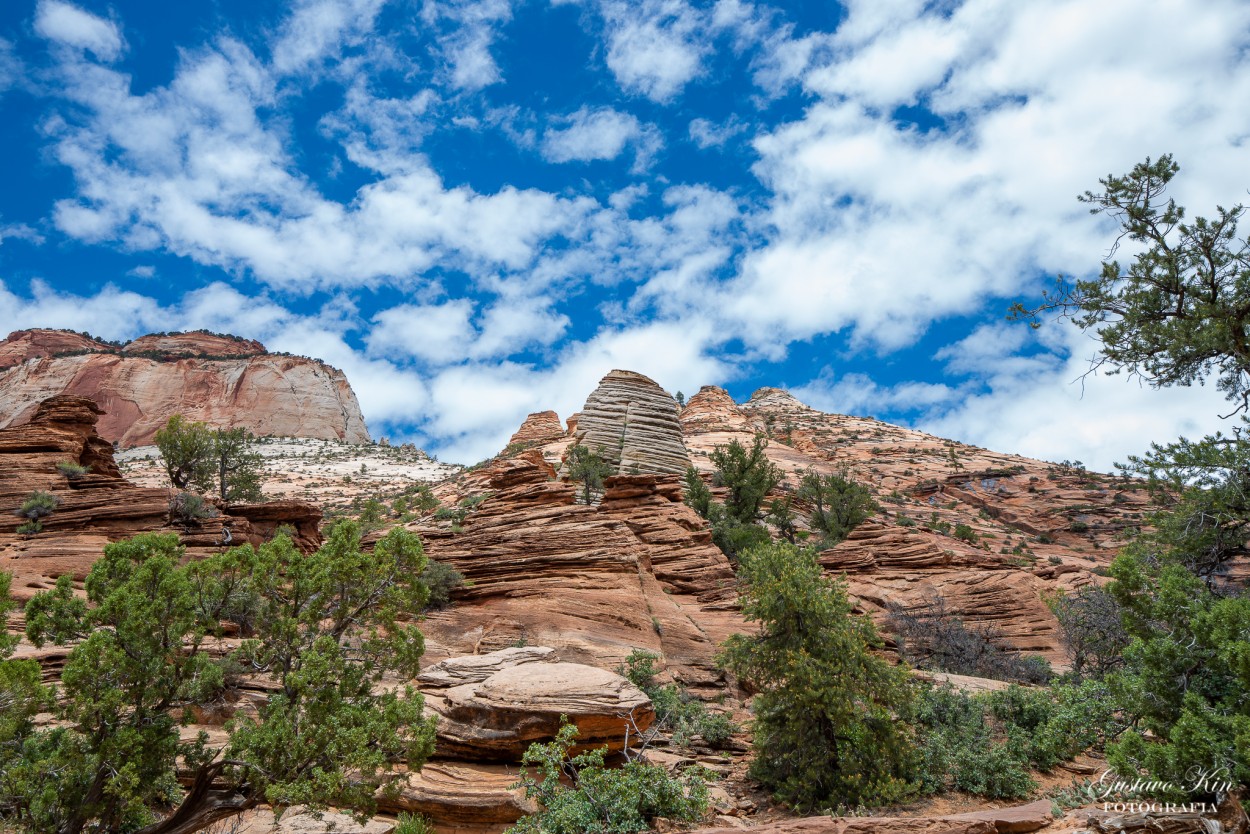 "Zion Canyon" de Gustavo Kin