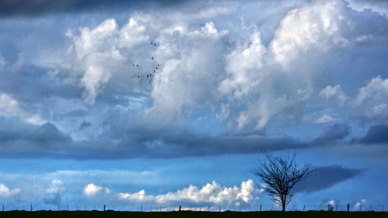 "Viene tormenta" de Eli - Elisabet Ferrari