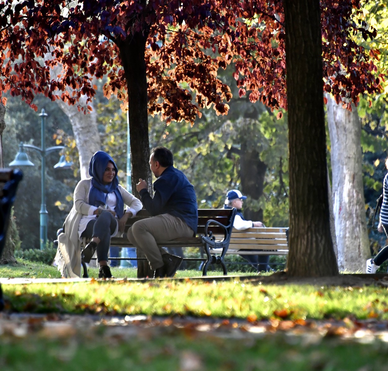 "Conquista en los jardines..." de Carlos Cavalieri