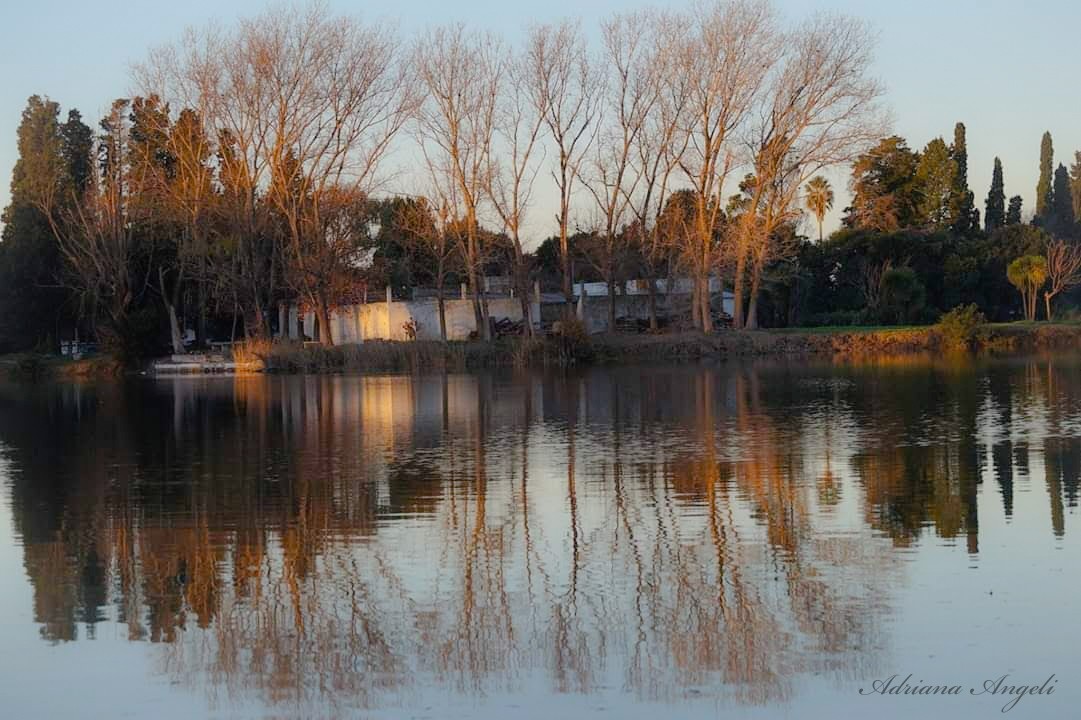 "`Reflejos otoales`" de Adriana Angeli