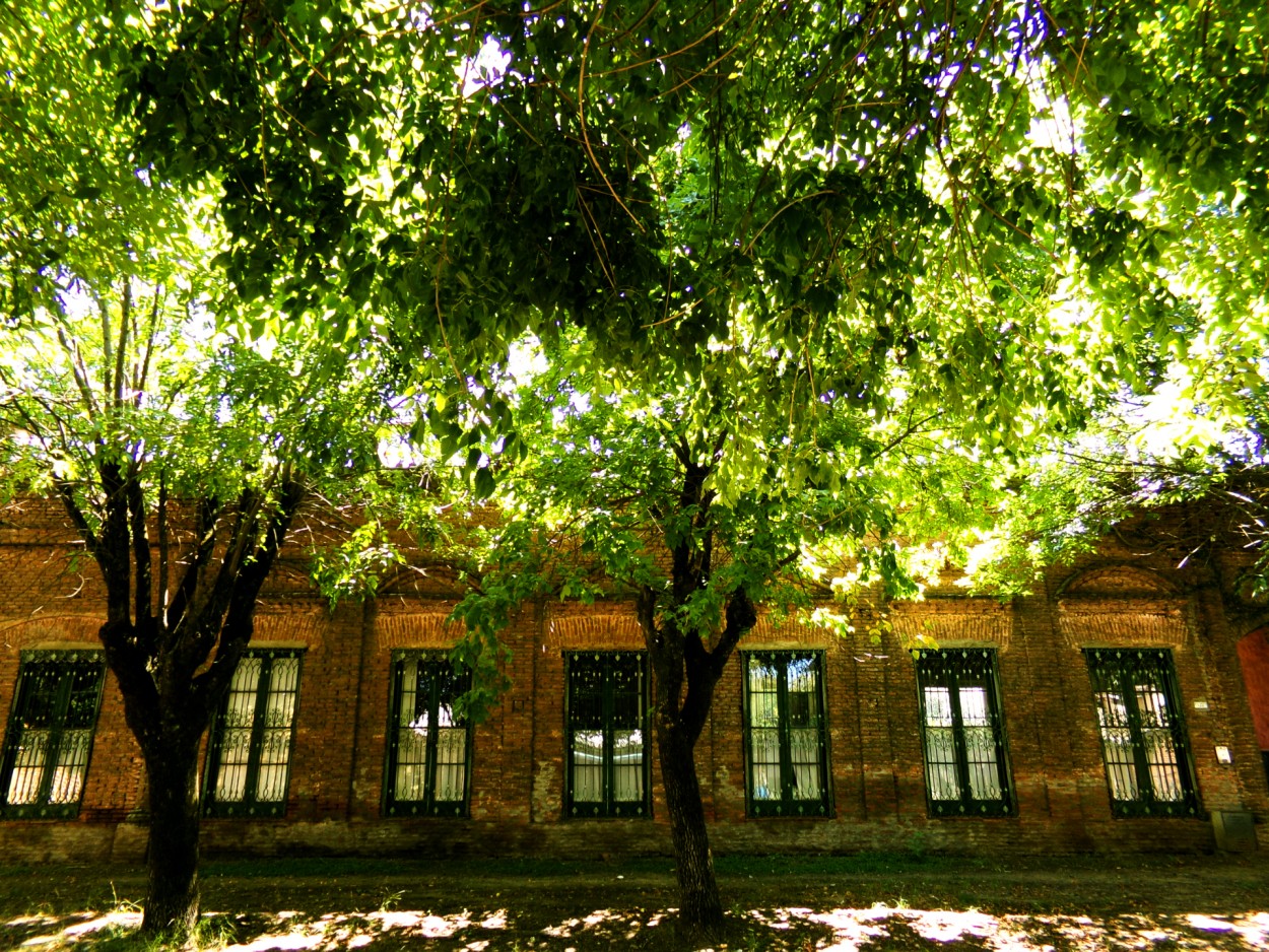 "La casa de las 7 ventanas. Las Heras Buenos Aires" de Ana Mara Spoor