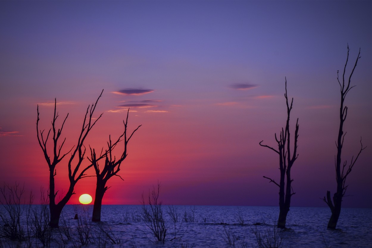 "Atardecer" de Bibiana Luque