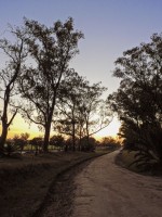 Camino atardecido