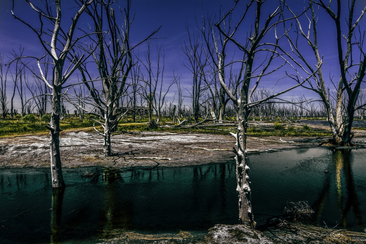 "Laguna de Epecun" de Ricardo Terzoli