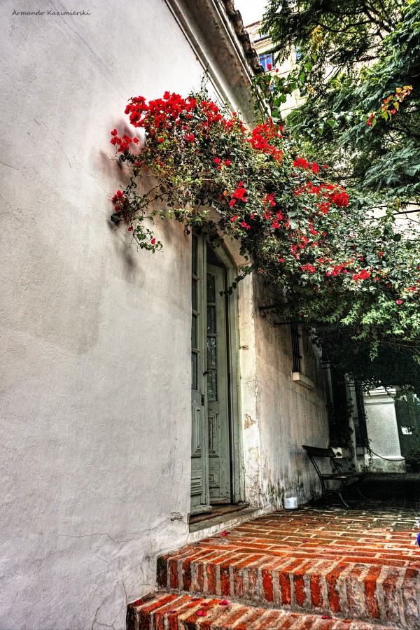 "Patio del Cabildo" de Armando Kazimierski